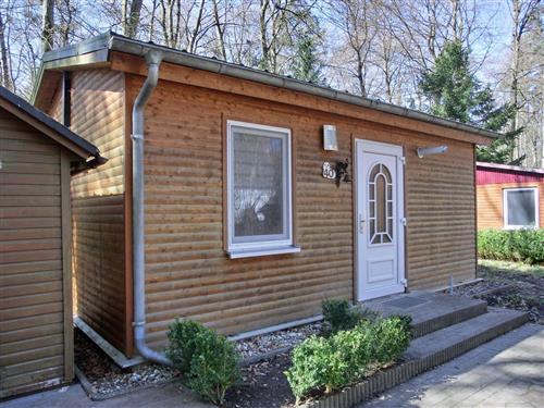 Holiday Home/Apartment - 4 persons -  - Dachsbau - 18181 - Seeheilbad Graal-Müritz