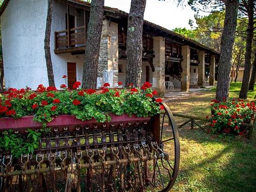 Ferielejlighed - 4 personer -  - 33050 - Belvedere Di Aquileia