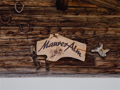 Sommerhus - 6 personer -  - Berg - 5771 - Leogang