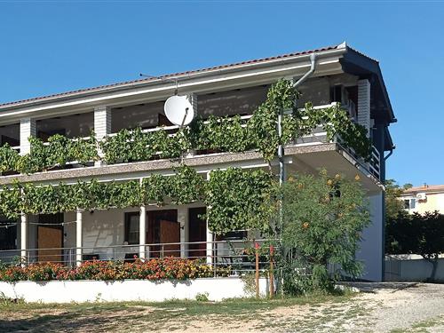 Semesterlägenhet - 3 personer -  - Kraljice Jelene - Zadar-Maslenica - 23243 - Maslenica