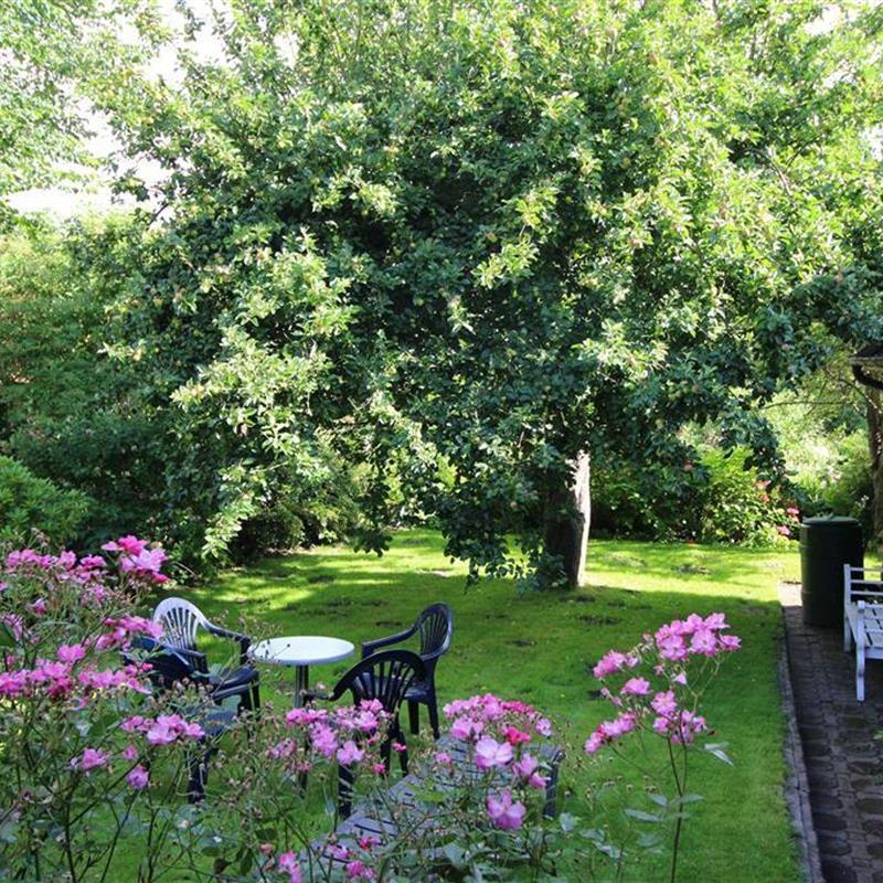 Ferielejlighed - 2 personer -  - Markt - 25836 - Garding