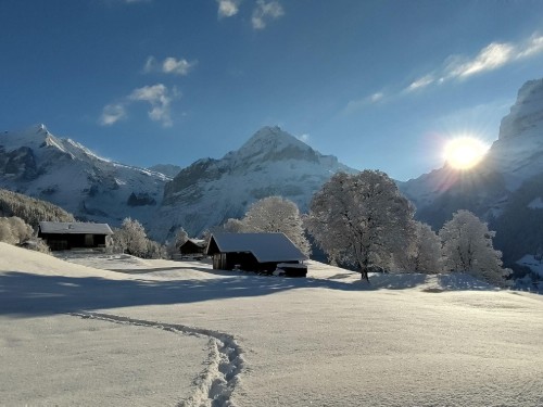Feriehus - 9 personer -  - 3818 - Grindelwald
