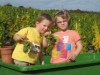 Bild 16