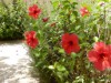 Image 24 - Outside