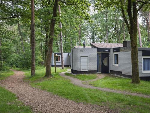 Bungalow - 2 personer -  - 3775KN - Kootwijk