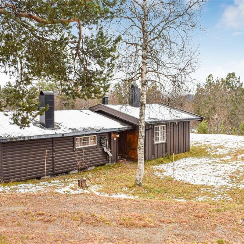 Sommerhus - 7 personer -  - Nordre Krossbakkveg - 3864 - Rauland