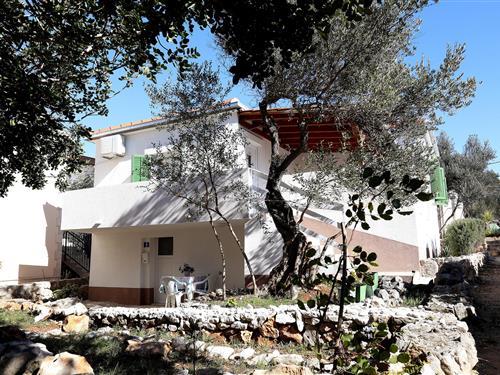 Holiday Home/Apartment - 6 persons -  - Drvenik Mali - 21225 - Drvenik Mali