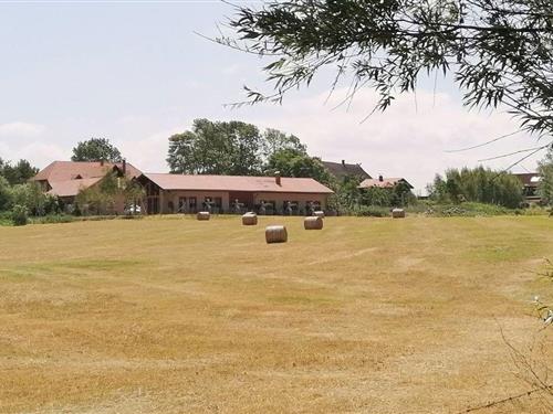 Holiday apartment - 3 persons -  - Riedenweg - 18230 - Rerik (Ostseebad)