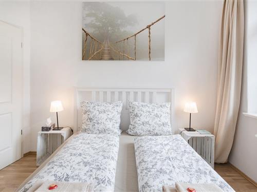 Ferielejlighed - 4 personer -  - Trachenberger Straße - 01129 - Dresden