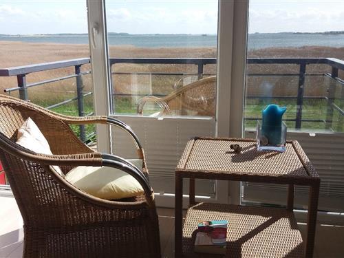 Holiday Home/Apartment - 4 persons -  - Deichallee 3 E - 18556 - Breege