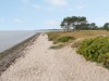 Billede 22 - Område