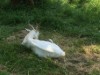 Bild 17