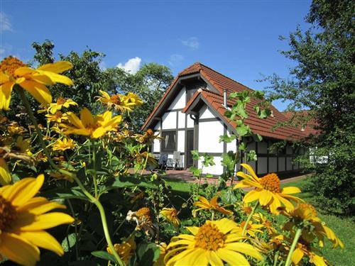 Feriesenter - 8 personer -  - Feriendorf Altes Land - 21723 - Hollern-Twielenfleth