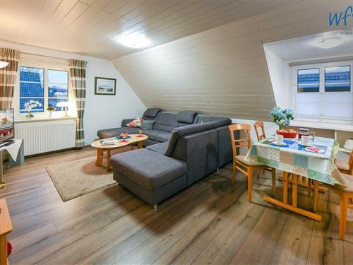 Semesterlägenhet - 4 personer -  - Kiefernweg - 26465 - Langeoog