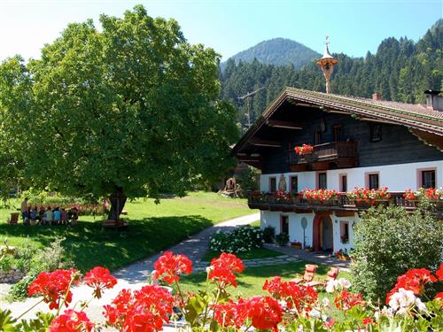 Bondegård - 5 personer -  - Stampfanger - 6306 - Söll