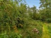 Billede 22 - Grund