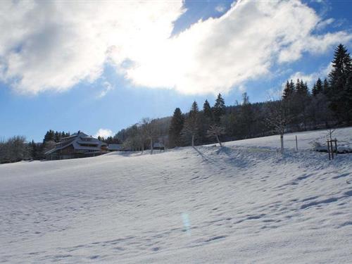 Semesterhus/Semesterlägenhet - 6 personer -  - 79868 - Feldberg-Bärental