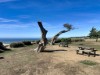Image 38 - Outside