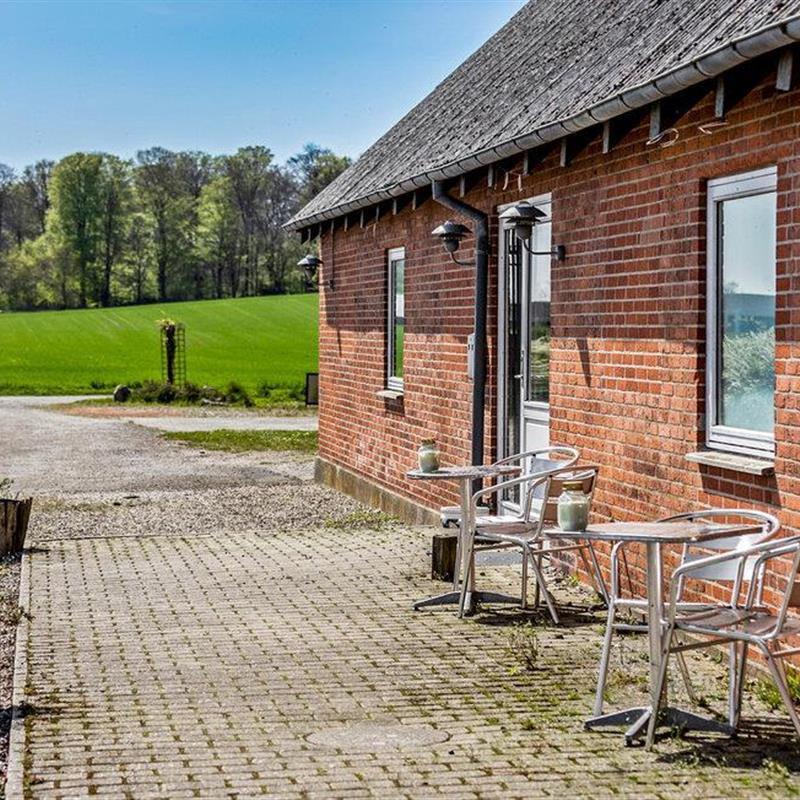 Ferienhaus - 28 Personen -  - Bøstrup Strandvej - Böstrup - 5953 - Tranekär