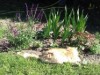 Image 15