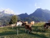 Bild 20