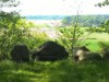 Bild 17