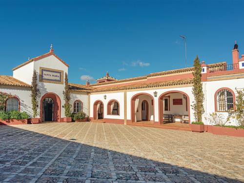 Semesterhus/Semesterlägenhet - 12 personer -  - Cortijo Santa Maria - El Garrobo - Sevilla - 41888 - El Garrobo