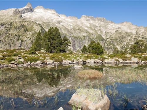 Ferielejlighed - 8 personer -  - Boulevard Latapie Flurin - 65110 - Cauterets