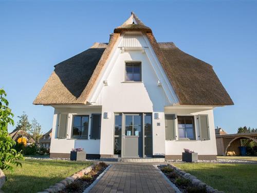 Feriehus - 4 personer -  - Am Schwanenschlage - 18356 - Fuhlendorf