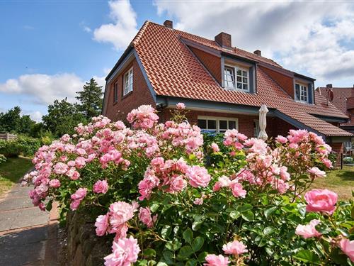 Ferielejlighed - 2 personer -  - Gmelinstraße - 25938 - Wyk Auf Föhr