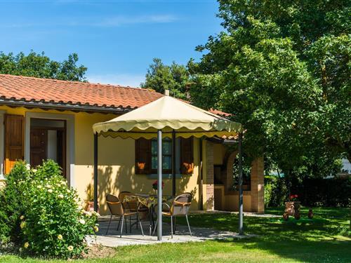 Bondhus - 4 personer -  - 52043 - Castiglion Fiorentino