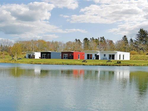 Holiday home - 6 persons -  - Dyrefolden - 6950 - Ringkøbing