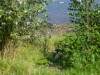 Bild 16