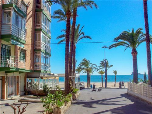 Ferienhaus - 3 Personen -  - Benidorm - 03502