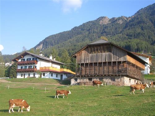 Ferienhaus - 4 Personen -  - St. Michael - 39040 - Kastelruth