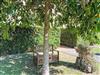 Bild 39 - Aussen