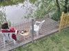 Bild 16