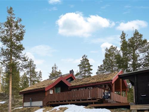 Holiday home - 10 persons -  - Nørdre Myre - 2667 - Lesjaverk