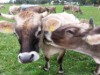 Bild 18