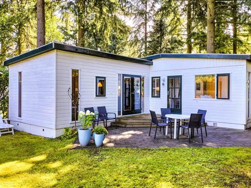 Holiday home - 4 persons -  - Enzerinckweg 12 - - 7251 KA - Vorden