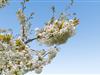 Bilde 29 - Tomt