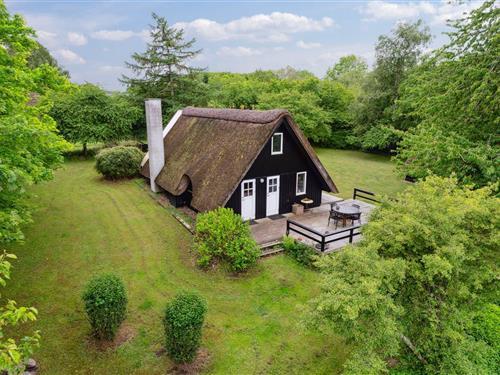 Ferienhaus - 5 Personen -  - Botoften - 5953 - Tranekär