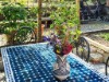 Image 27 - Outside