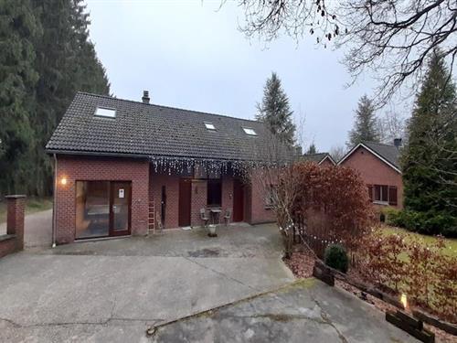 Vakantiehuis - 10 personen -  - 4780 - Recht
