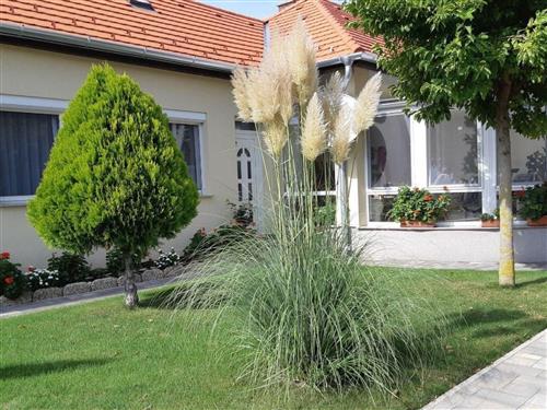 Holiday apartment - 2 persons -  - Buk-Thermal - 9737