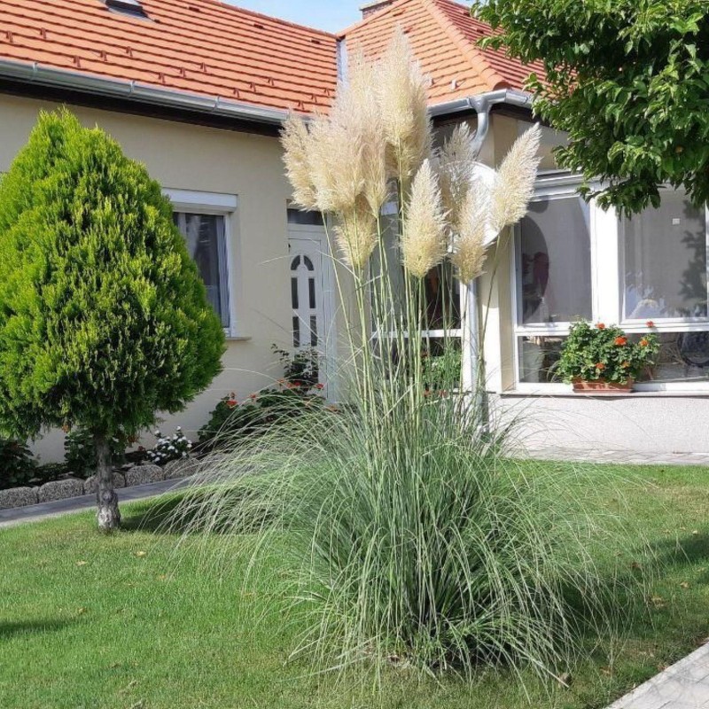 Ferielejlighed - 2 personer -  - 9737 - Bük-Thermal