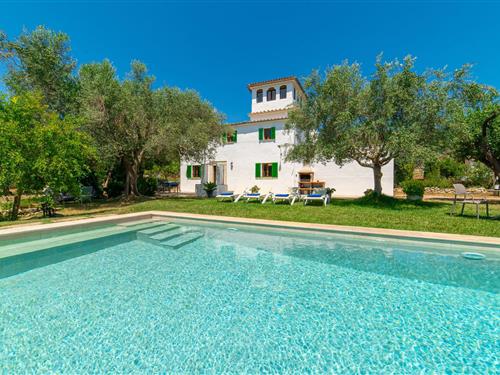 Holiday home - 4 persons -  - Diseminado Poligono - Can Dameto, Binissalem - 07350 - Binissalem