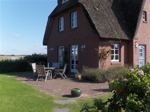 Semesterhus/Semesterlägenhet - 3 personer -  - Wikinger Str. - 25826 - St. Peter-Ording