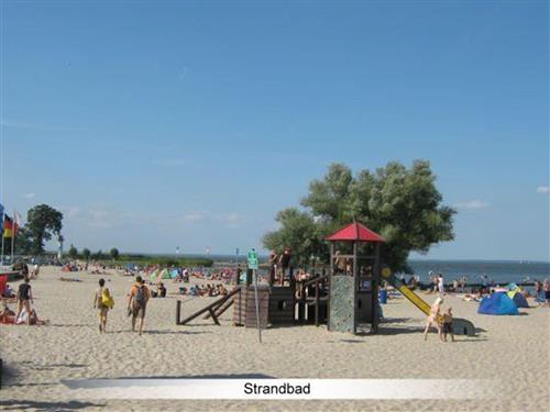 Holiday apartment - 4 persons -  - Am Mühlenfeld - 17375 - Liepgarten