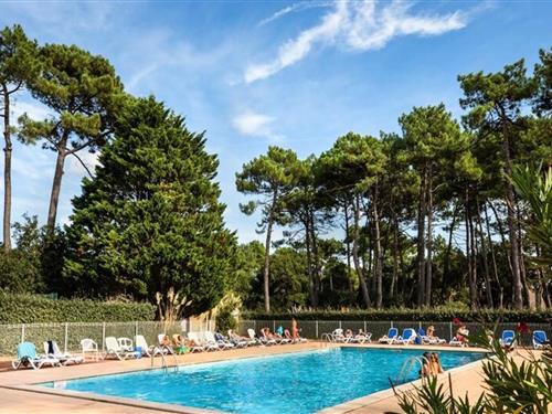 Feriehus / leilighet - 6 personer -  - 40404 - Soustons-Plage